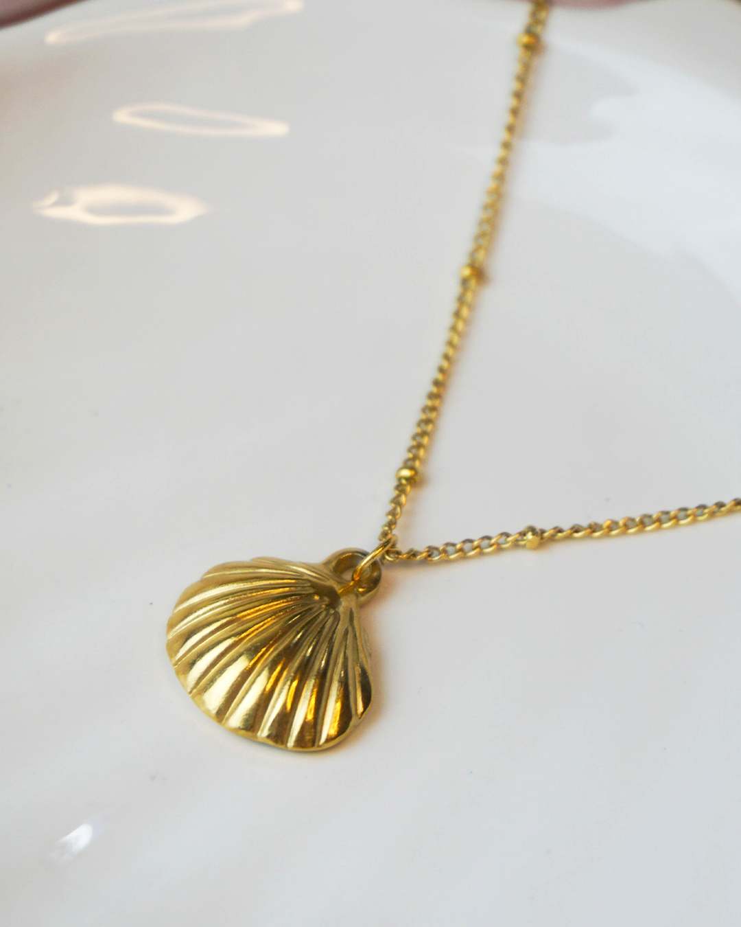 Collar Concha