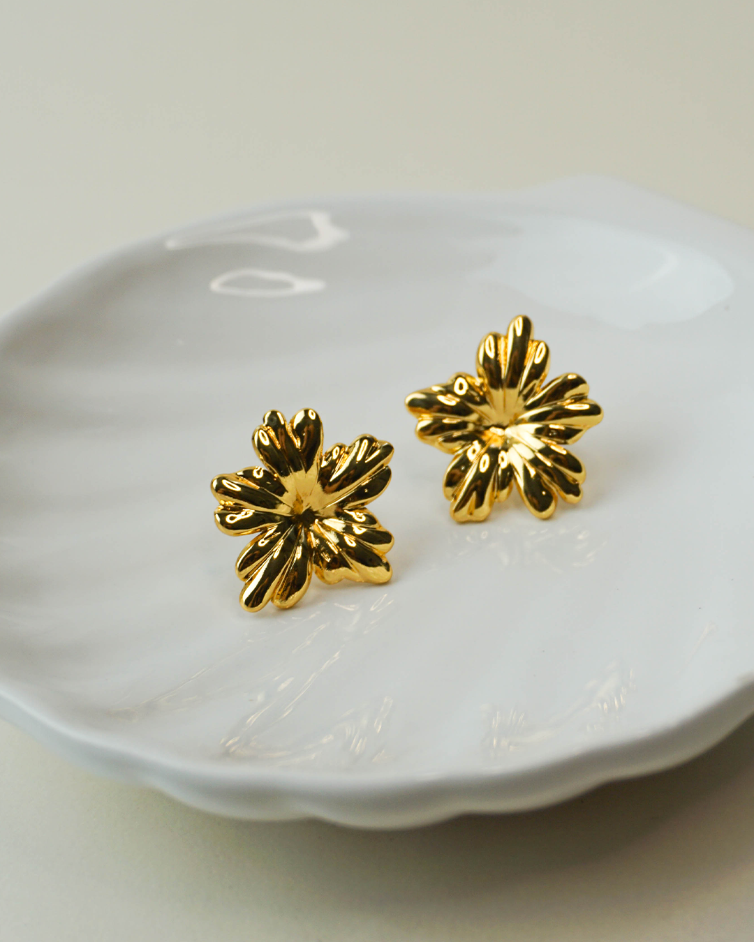 Aretes Sheila