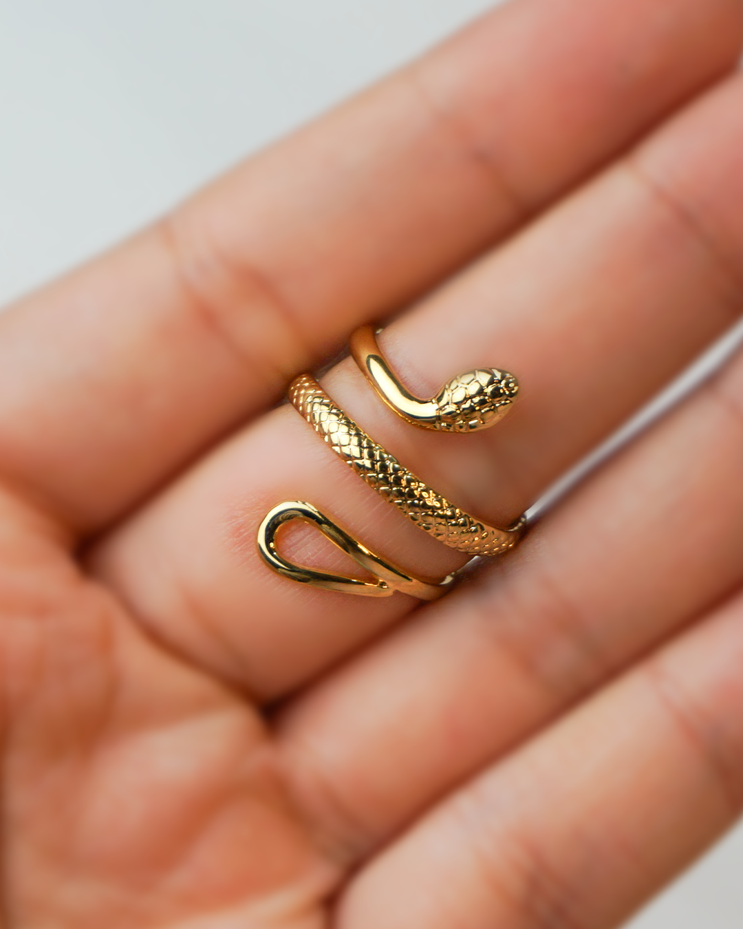Anillo Rashy
