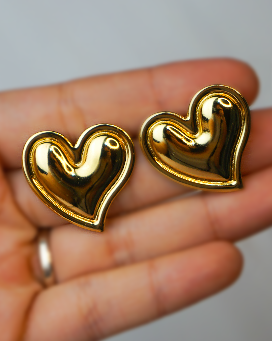Aretes Ania