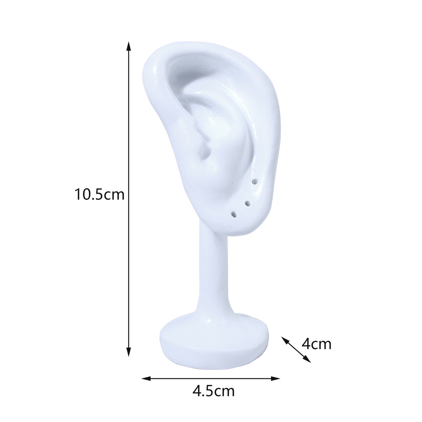 Oreja exhibición