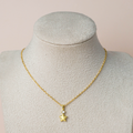 Collar estrella y brillo
