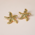 Aretes estrella de mar