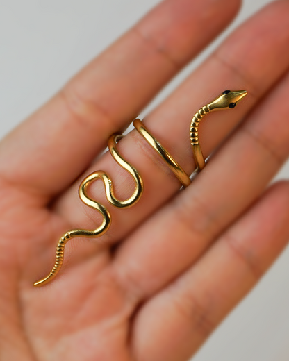 Anillo serpiente larga