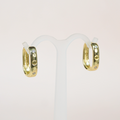 Aretes Hortensia