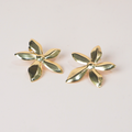 Aretes Matera