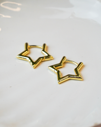 Aretes Sylvia