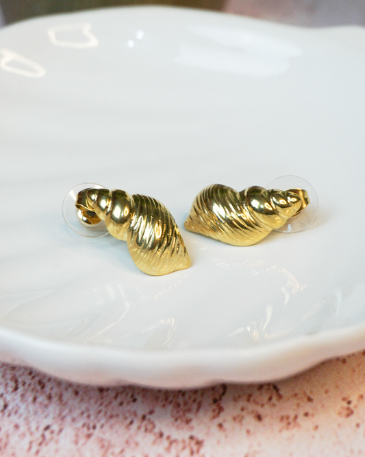 Aretes caracol