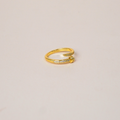 Anillo clavo brillante