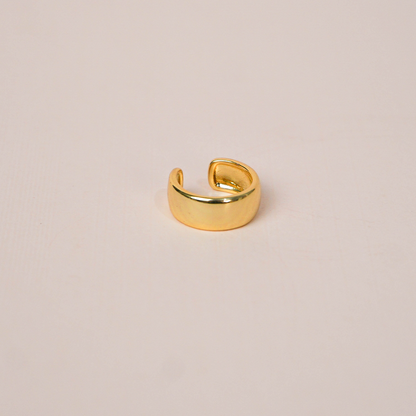 Simulador/Earcuff 1