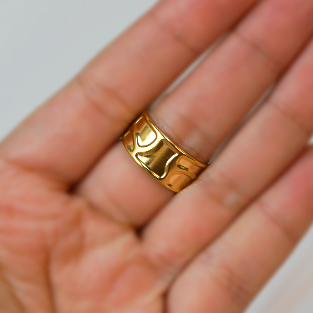 Anillo barra