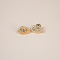 Aretes eye