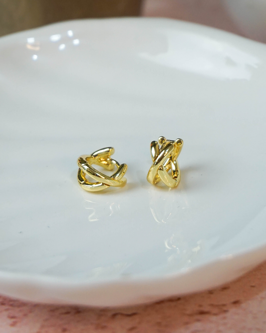 Aretes Silvia
