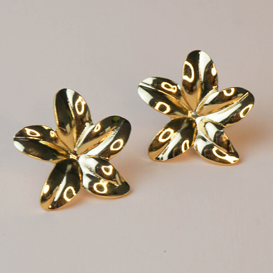 Aretes Lucylu