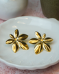 Aretes Grace