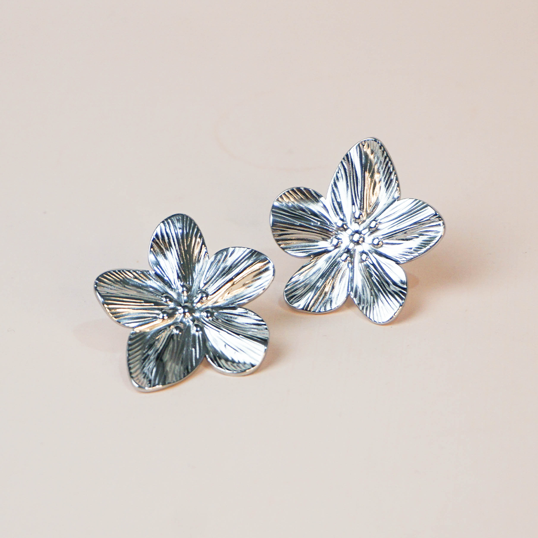 Aretes Zana plateados