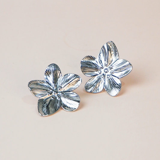 Aretes Zana plateados