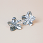 Aretes Zana plateados