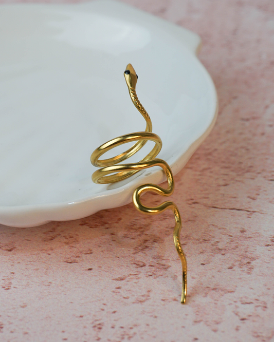 Anillo serpiente larga