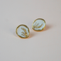 Aretes campo