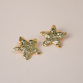 Aretes estrella textura