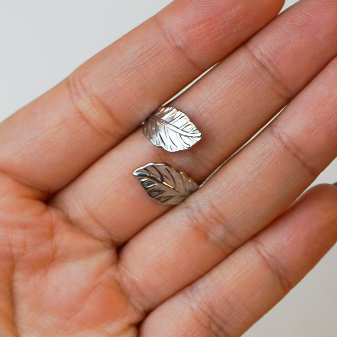 Anillo Natura plateado