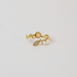 Anillo enredadera