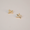 Aretes Cáceres