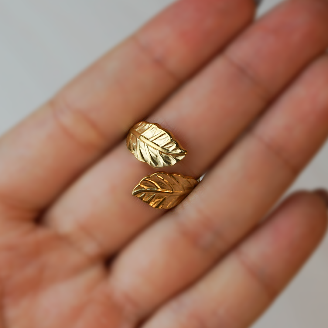 Anillo Natura