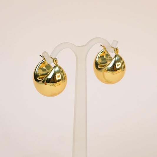 Aretes Logan