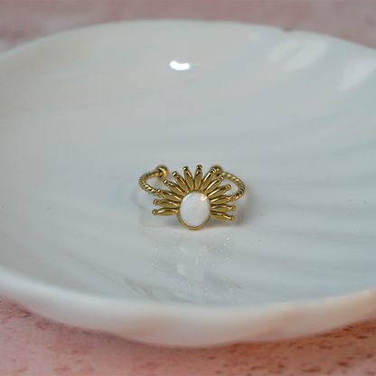 Anillo Soler