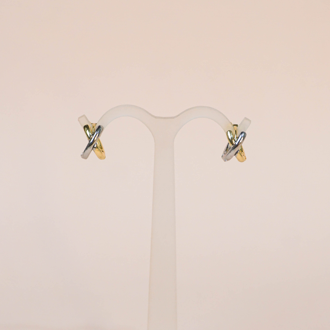 Aretes Xime bicolor