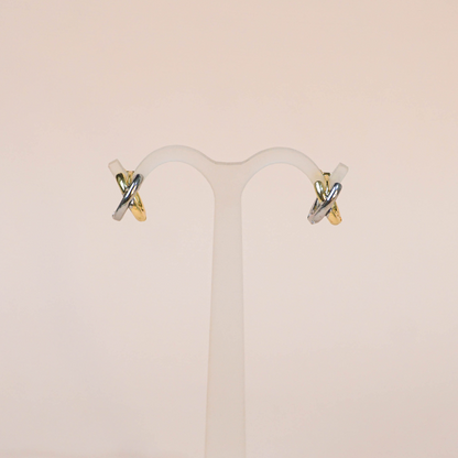 Aretes Xime bicolor