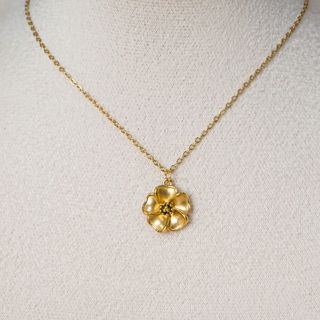 Collar Pamplona