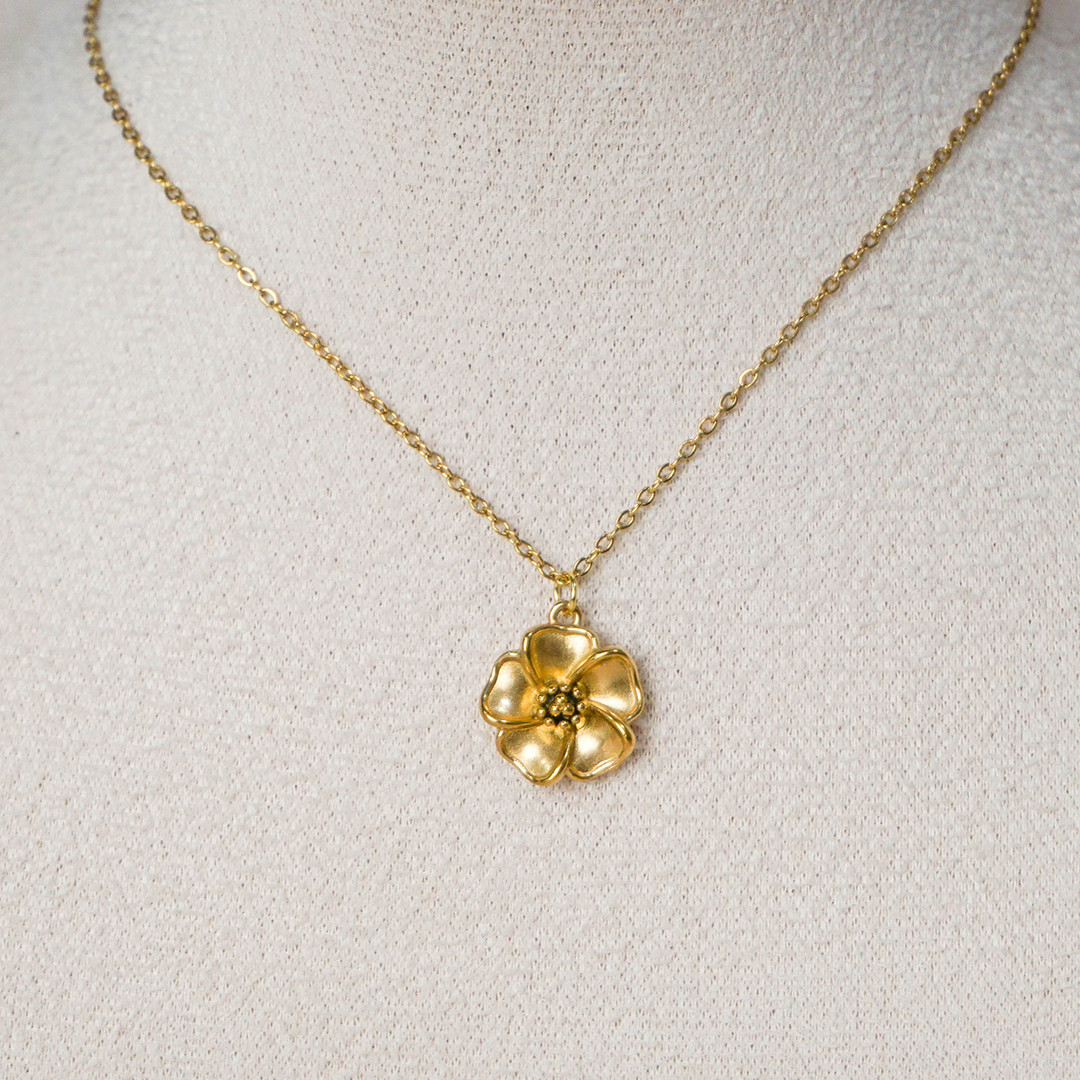 Collar Pamplona