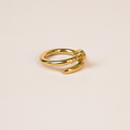 Anillo clavo dorado