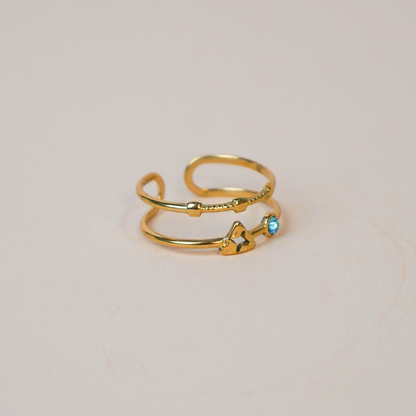 Anillo brillo