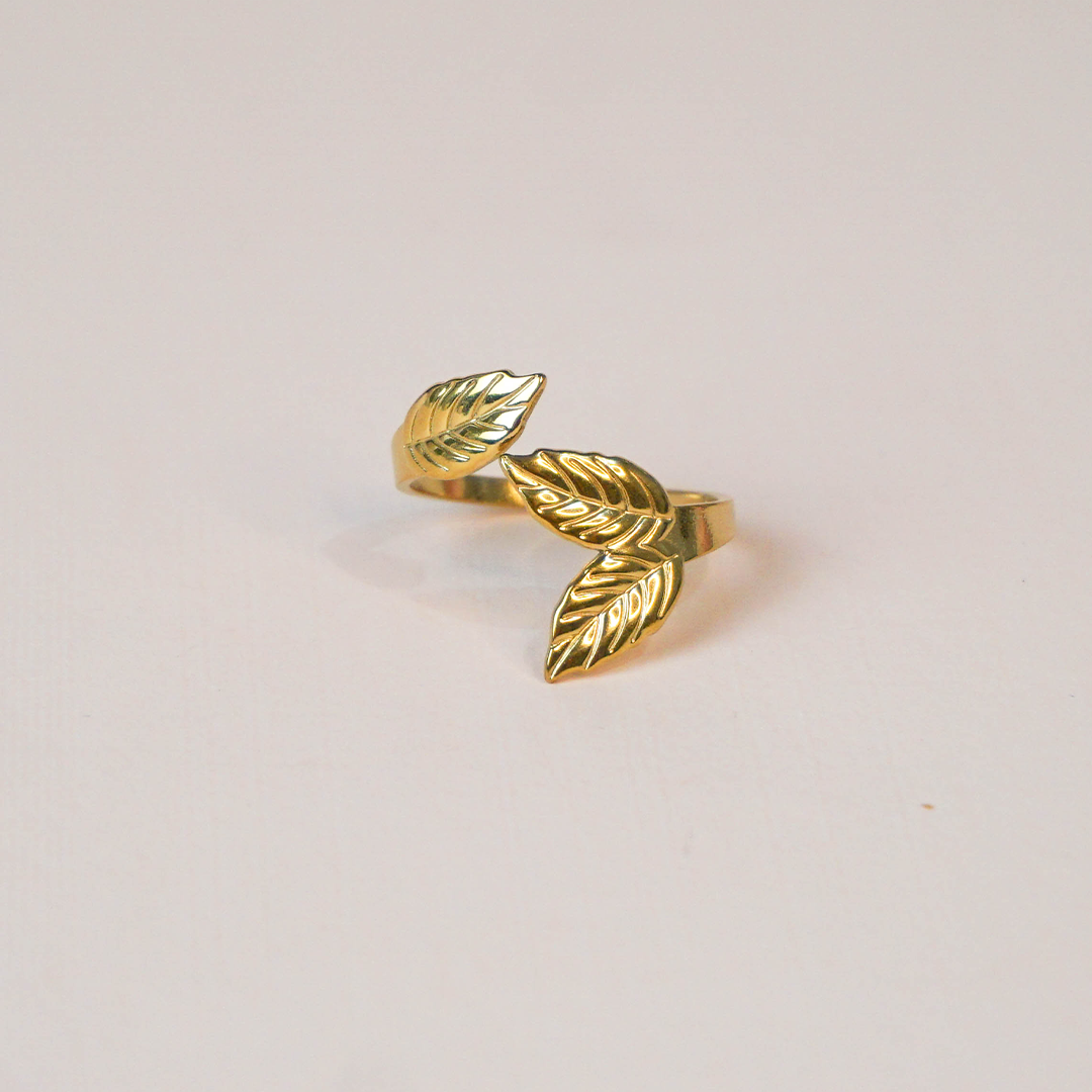 Anillo Clara