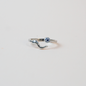 Anillo Lucky