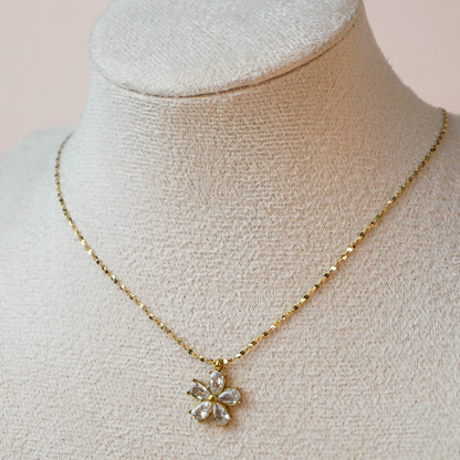 Collar Ruth