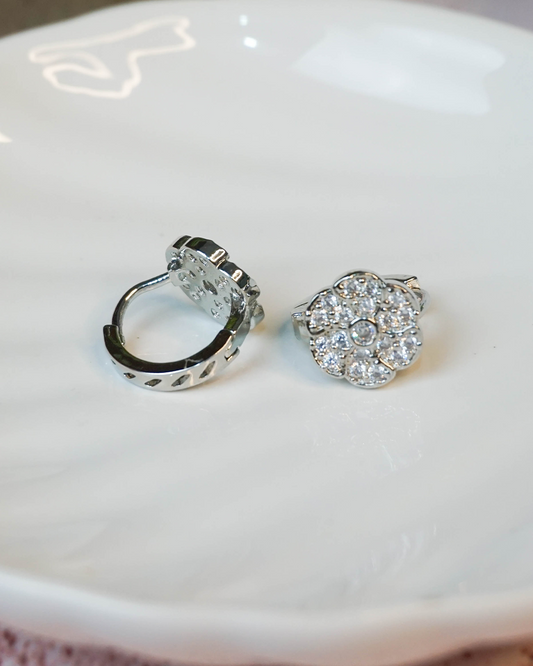 Aretes Lea