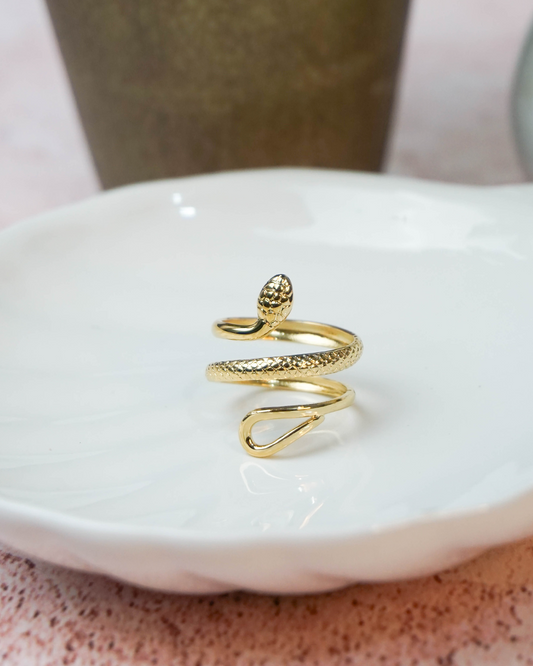 Anillo Rashy