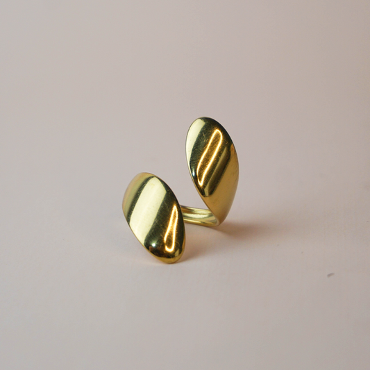 Anillo Meli