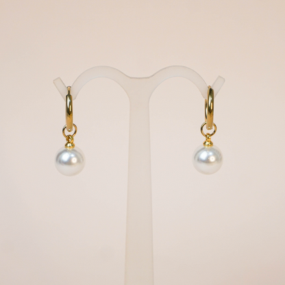 Aretes Vasti