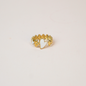 Anillo Pau