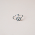 Anillo Pisa