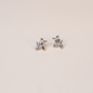 Aretes perrito