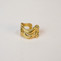 Anillo mareas