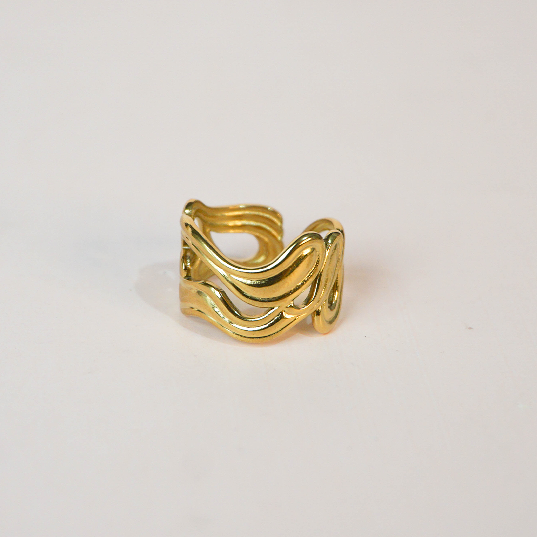 Anillo mareas