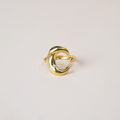 Anillo Triestre